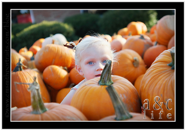 09_27_09pumpkinsFB-006 09_27_09pumpkinsFB-006